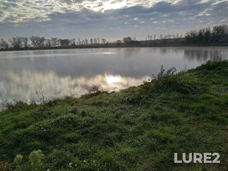 Carp — Chernikov, Oct 29, 2019