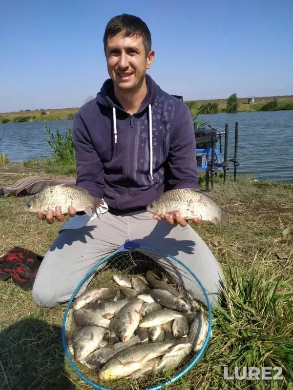 Crucian carp — Kizilovka, Aug 29, 2019