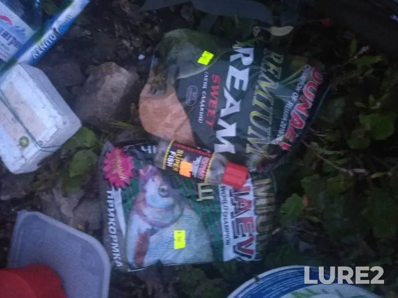 Bream — Oka, Aug 12, 2019
