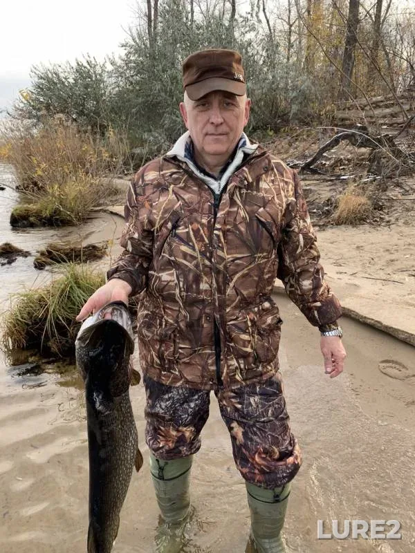 Pike — Saratovskaya oblast, Nov 03, 2018