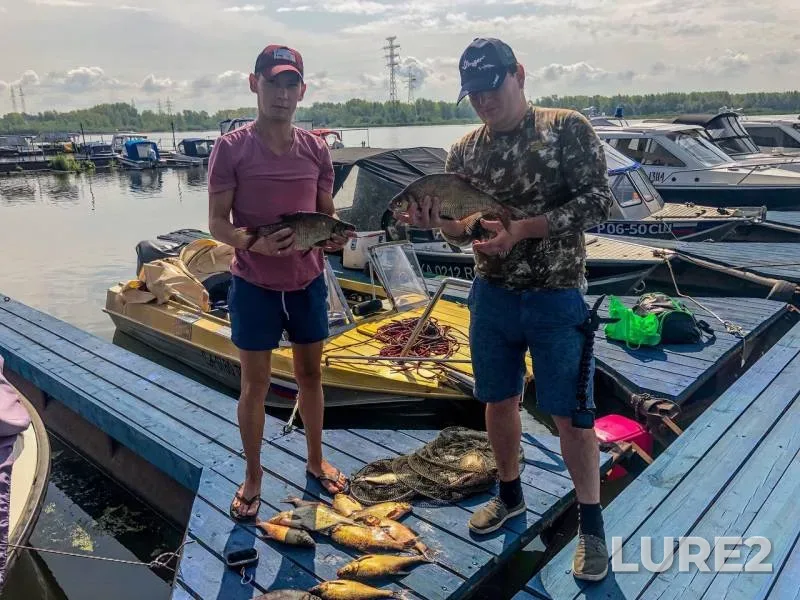 Bream — Samara, Aug 11, 2019