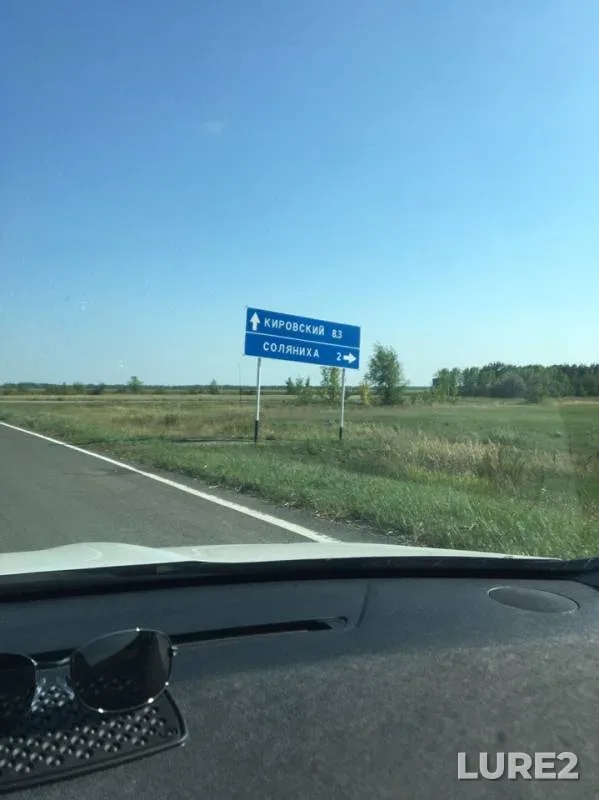 Carp — Samarskaya oblast, Aug 23, 2019