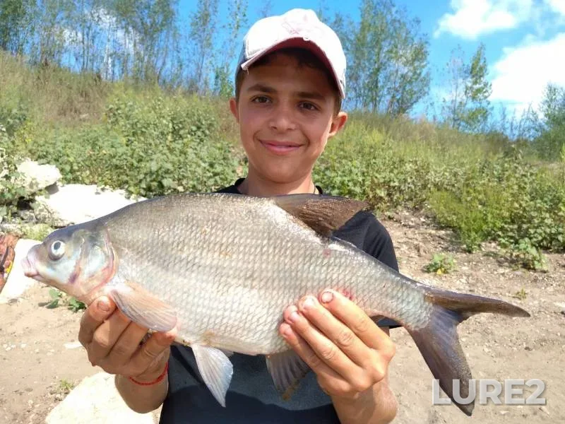 Bream — Samara, Aug 25, 2019