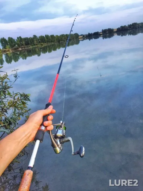 Perch — Lagernaya, Aug 16, 2019