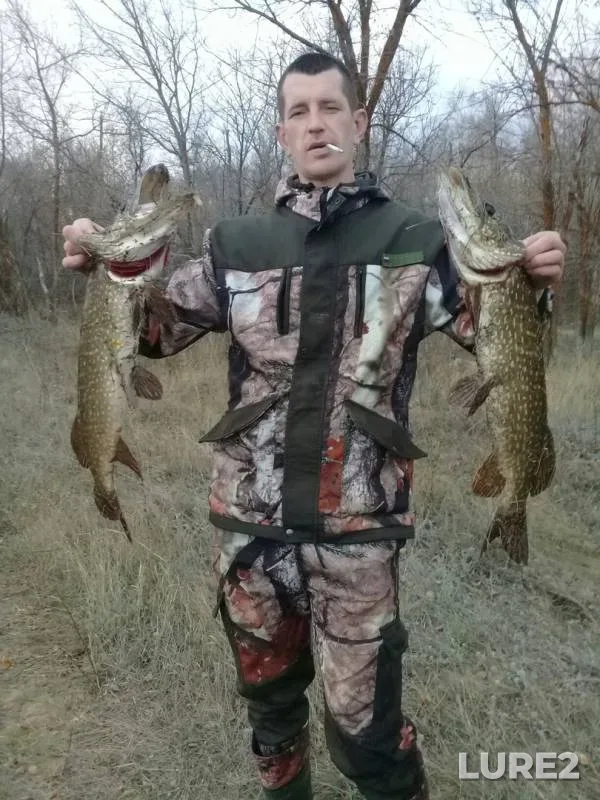 Pike — Samarskaya oblast, Oct 18, 2019