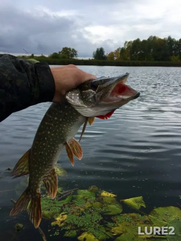 Pike — Samara, Sep 15, 2019