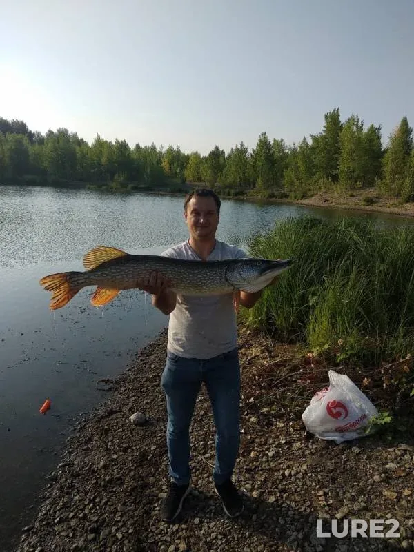 Pike — Samarskaya oblast, Sep 18, 2019