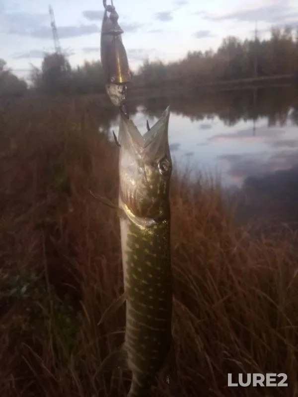 Pike — Tatyanka, Sep 20, 2019