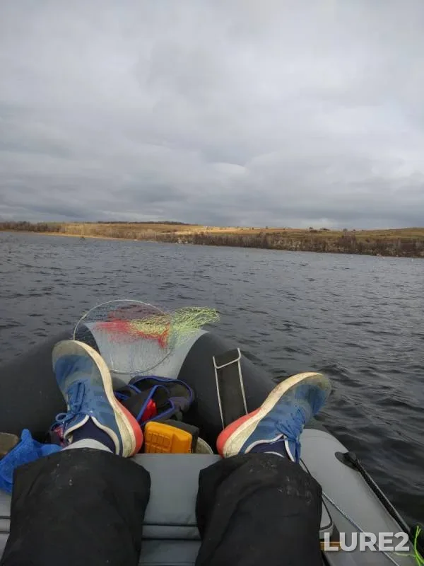 Bream — Volga, Oct 20, 2019