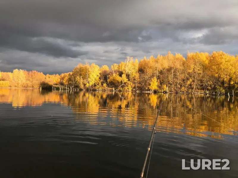 Pike — Samarskaya oblast, Oct 02, 2019