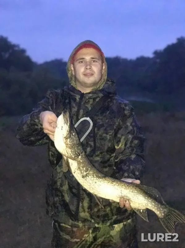 Pike — Sok, Sep 21, 2019