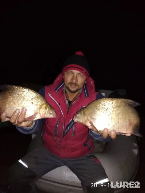 Bream — Samara, Oct 26, 2019