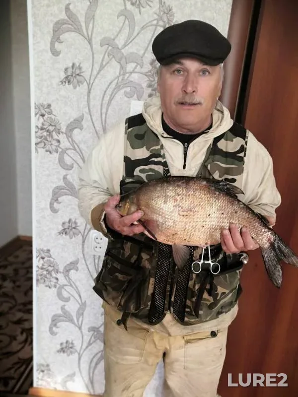 Bream — Turtas, Oct 10, 2019