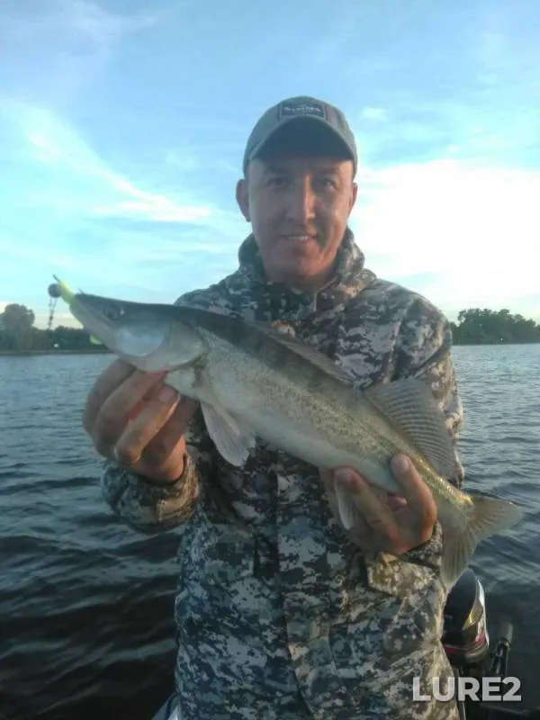 Zander — Kaliningradskiy kanal, Jun 24, 2019