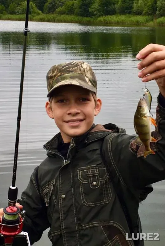 Perch — Moskovskaya oblast, Jul 07, 2019