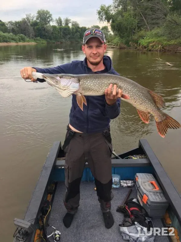 Pike — Kilmez, Jul 31, 2019