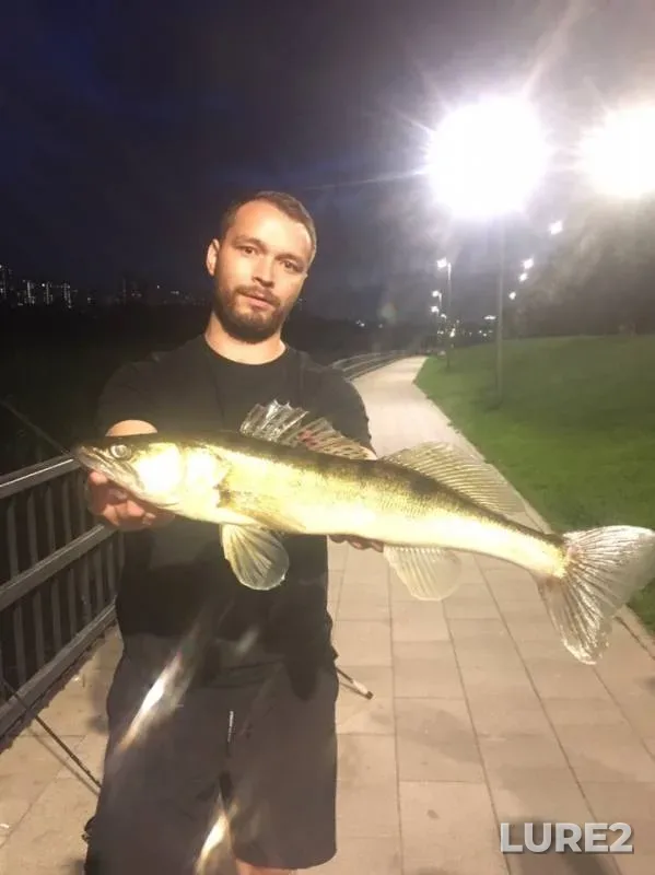 Zander — Moskva, Aug 14, 2019