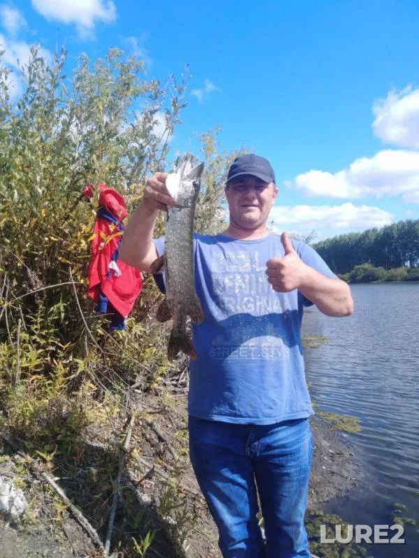 Pike — Penzenskaya oblast, Kuznetskiy rayon, Sep 04, 2019
