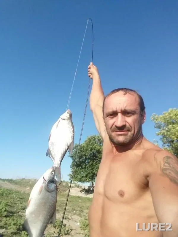 Bream, Crucian carp — Astrakhanskaya oblast, Krasnoyarskiy rayon, Jun 23, 2019