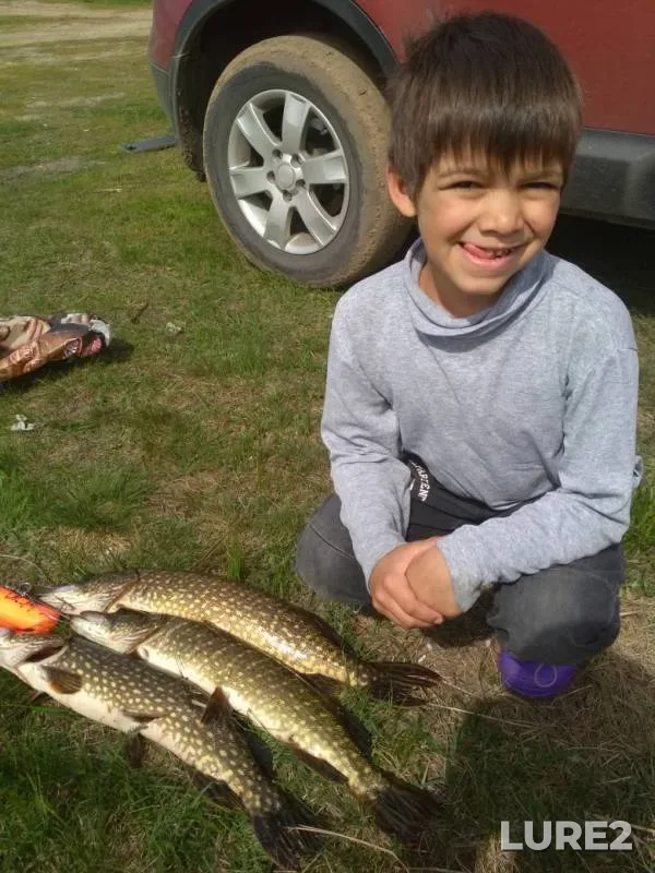 Pike — Spasskoye, Jul 03, 2019