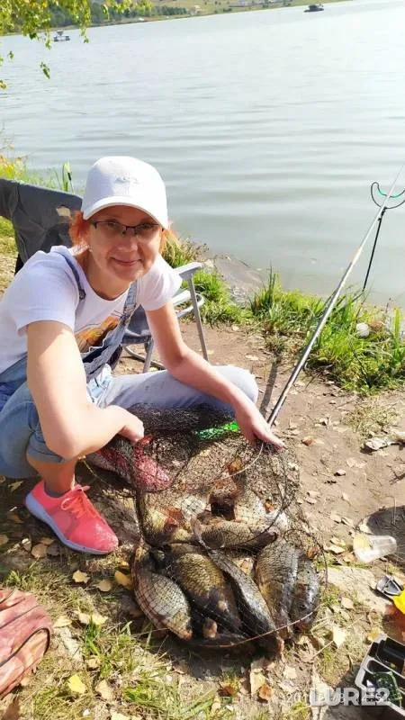Carp, Crucian carp — Pechet, Sep 08, 2019
