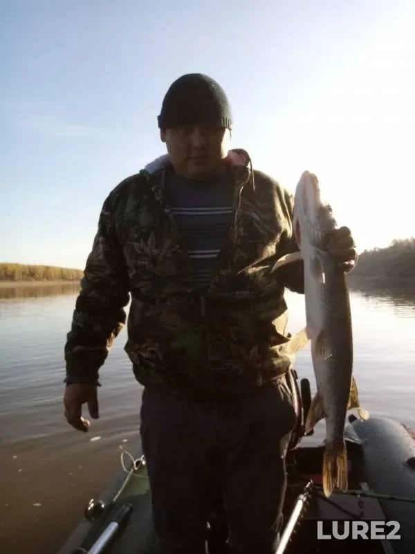 Pike, Zander — Irtysh, Oct 06, 2019