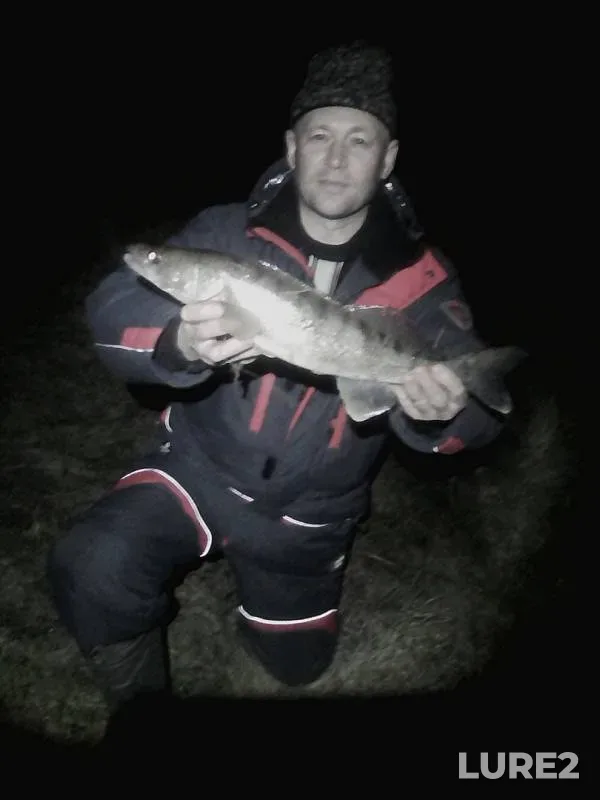 Zander — Volga, Oct 22, 2019