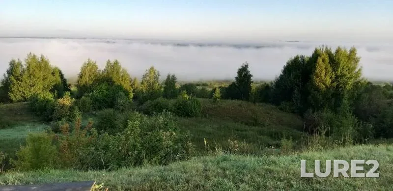 Bream — Pronya, Aug 24, 2019