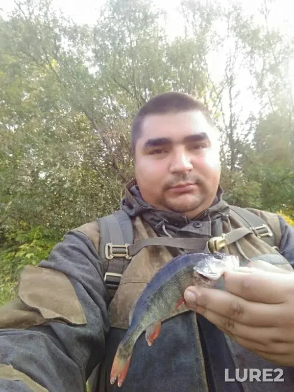 Perch — Orekhovoye, Sep 08, 2019
