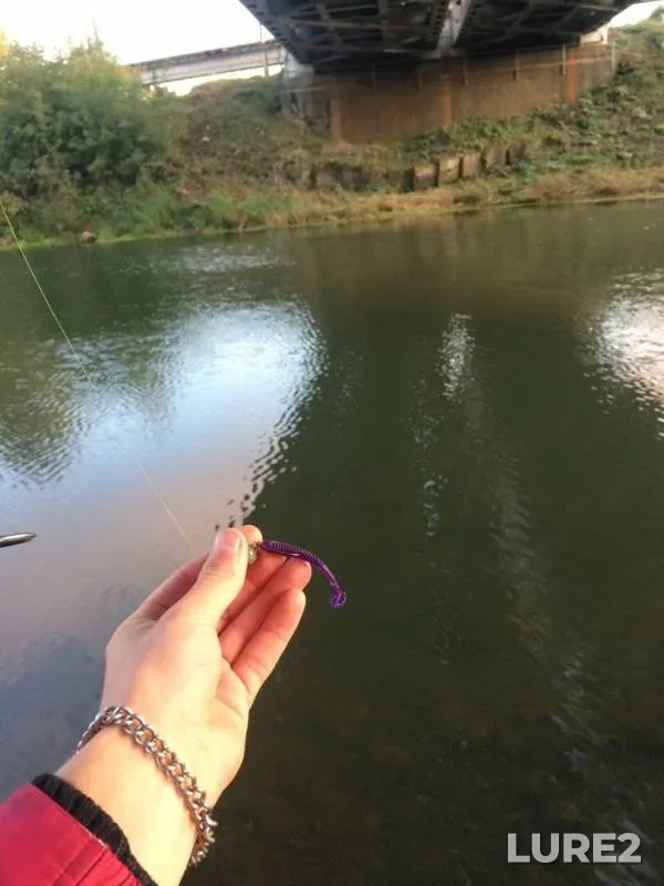 Perch — Vozha, Sep 17, 2019