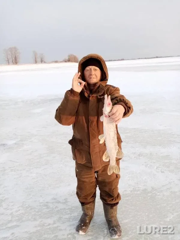 Pike — Sauskanovskoye, Nov 03, 2019