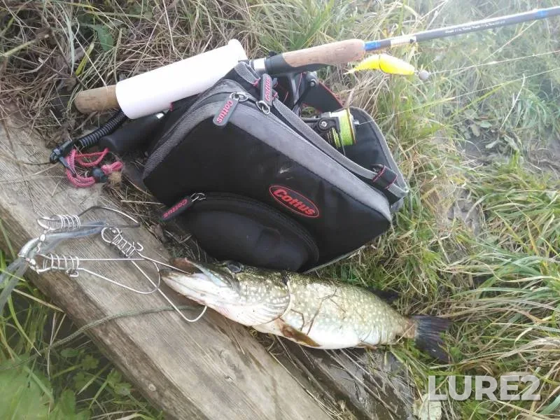 Pike — Vozha, Oct 12, 2019