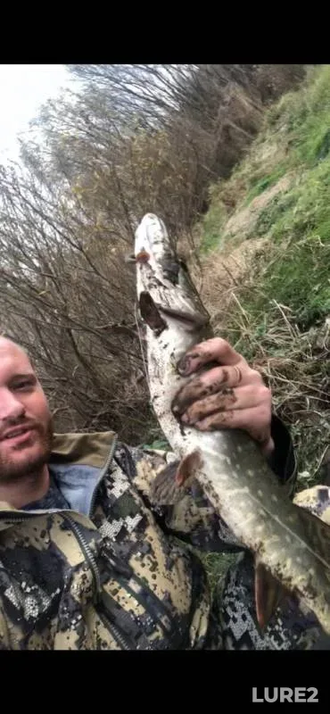 Perch, Pike — Oka, Oct 21, 2019