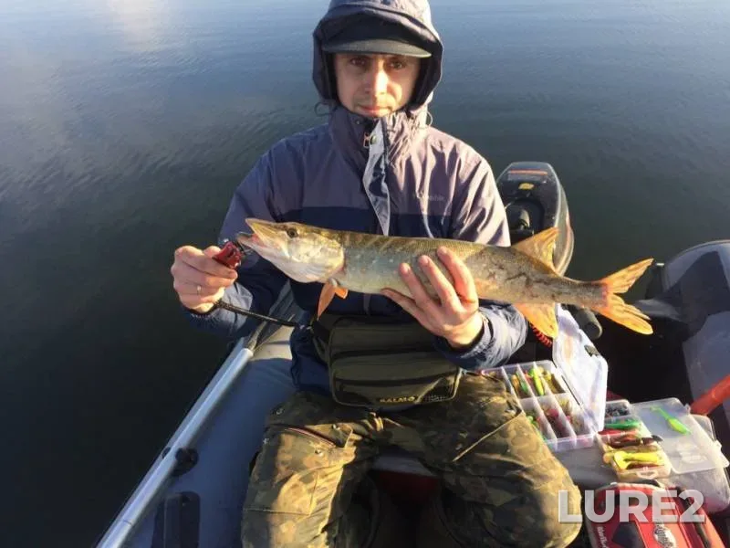 Pike — Melisya, Nov 13, 2019