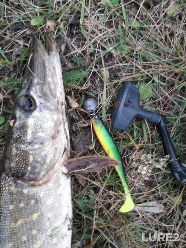 Pike — Prolom, Nov 17, 2019