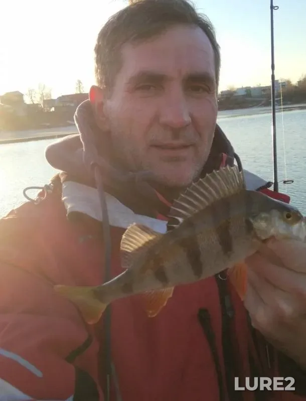 Perch — Kolpino, Nov 21, 2019