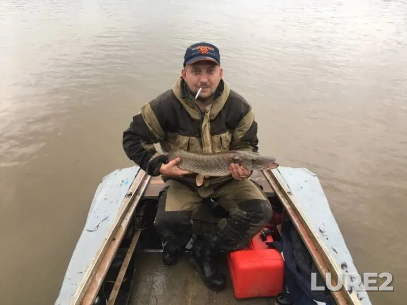 Pike, Zander — Irtysh, Aug 03, 2019