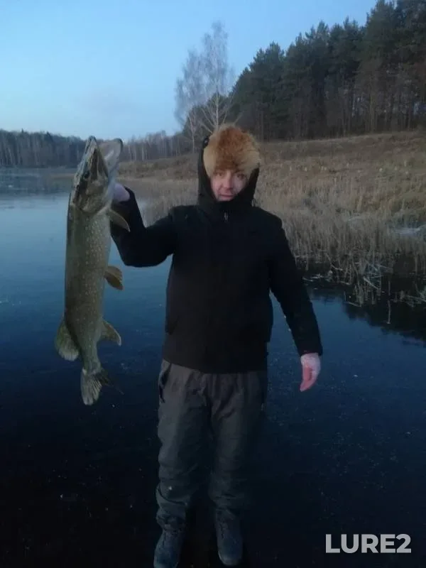 Pike — Guryevskiy, Nov 23, 2019