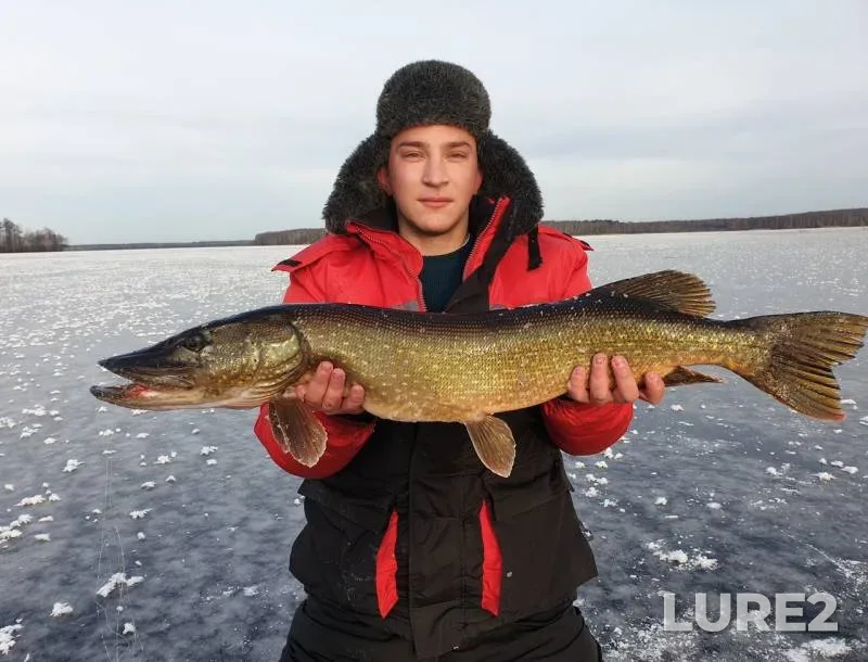 Pike — Velikoye, Nov 24, 2019