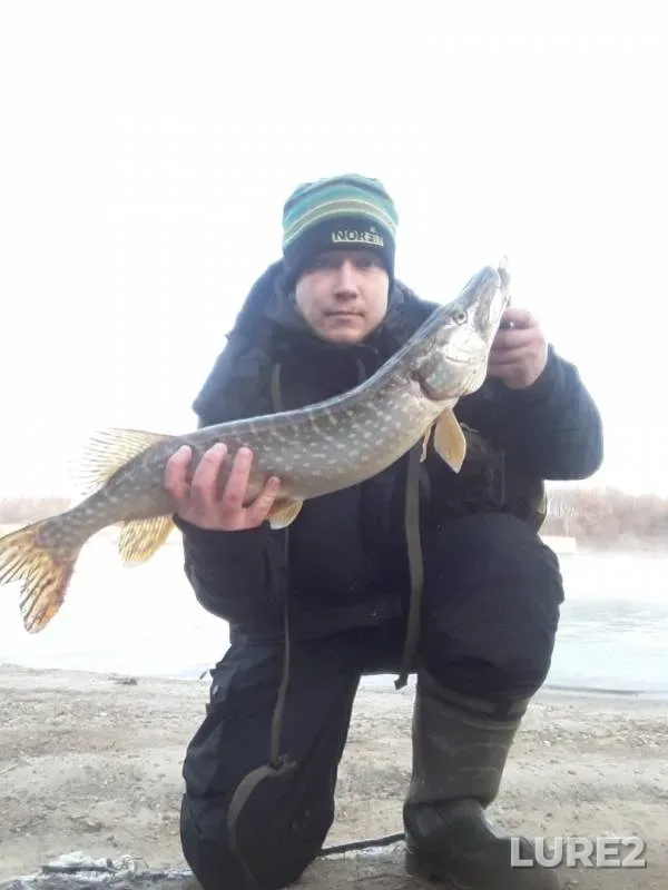 Pike — Moskva, Nov 25, 2019