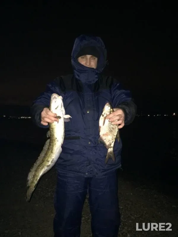 Bream, Burbot — Kama, Oct 30, 2018
