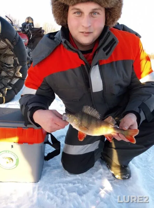 Perch — Belaya, Dec 07, 2018