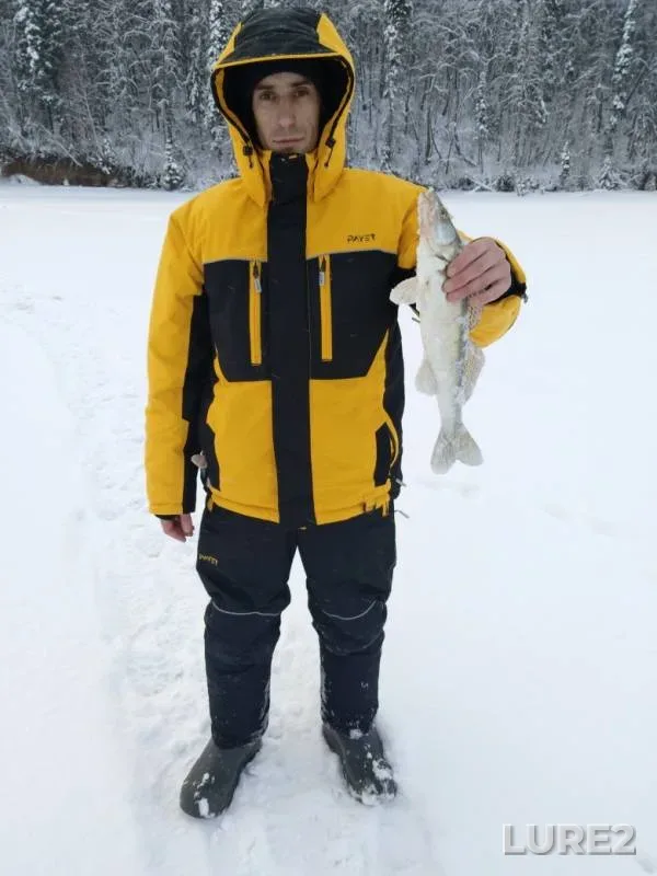 Zander — Sylva, Dec 14, 2018