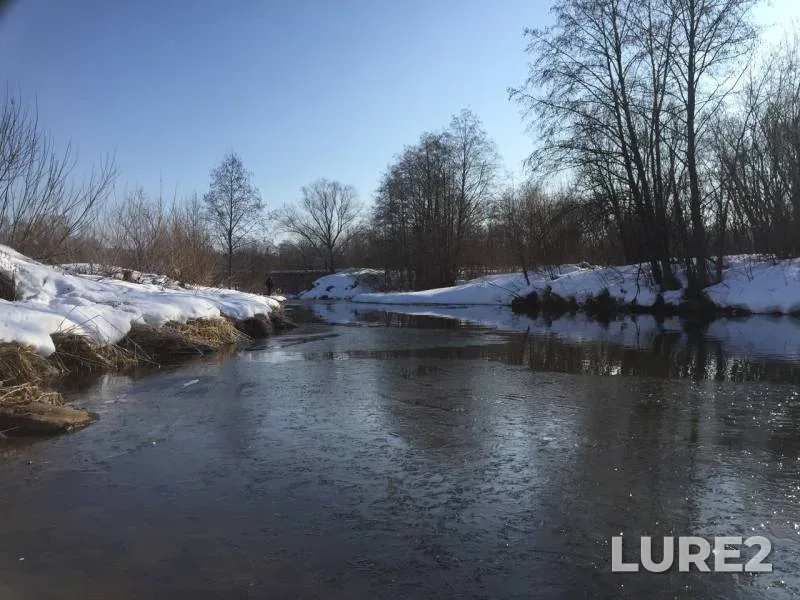 Perch — Gayva, Mar 25, 2019