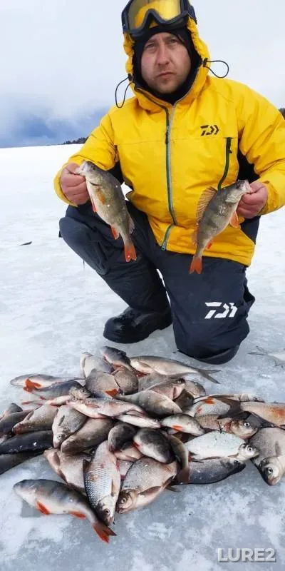 Bream, Perch — Kosvinskiy zaliv, Mar 26, 2019