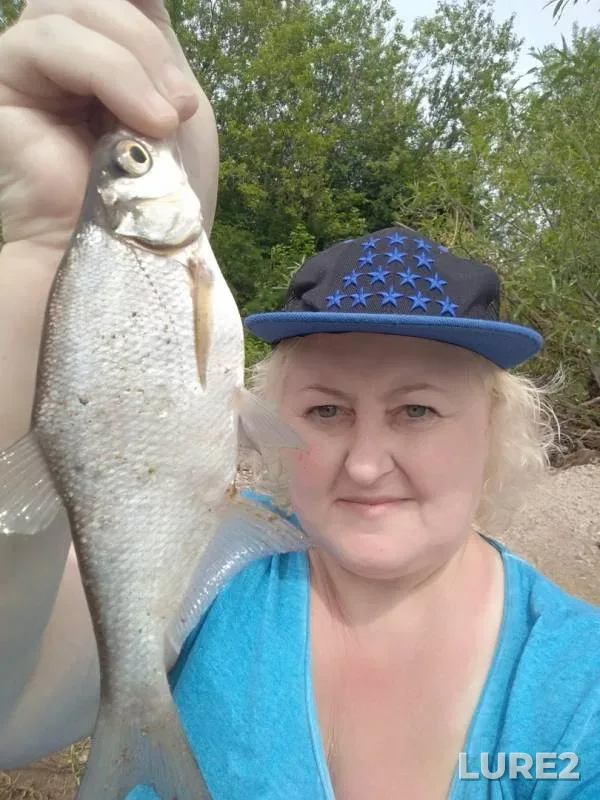 Bream, Roach — Gayva, Jun 12, 2019