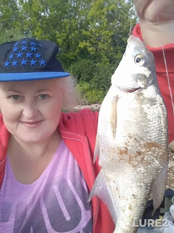 Bream — Kamskoye, Jun 21, 2019