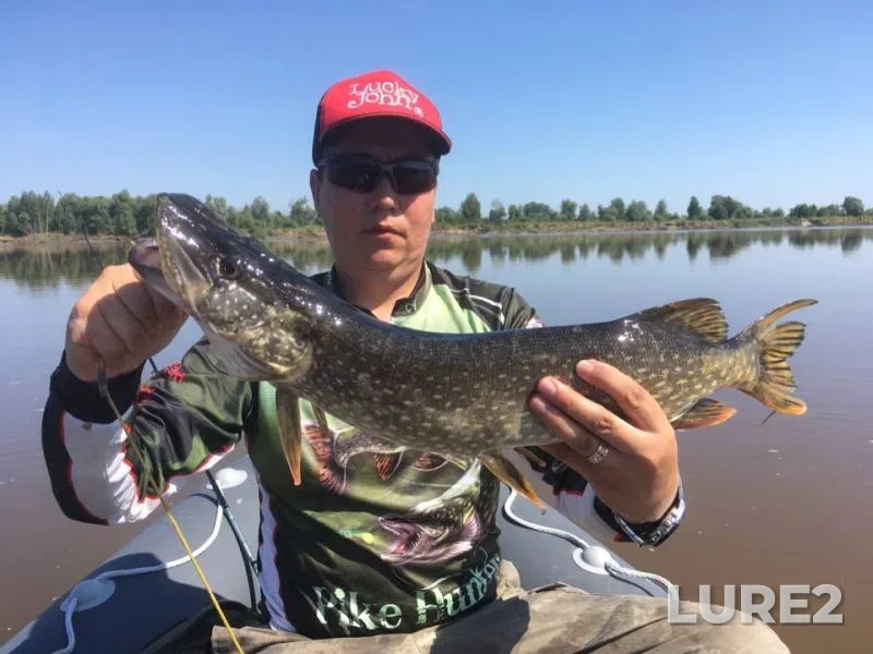 Pike — Irtysh, Jul 20, 2019