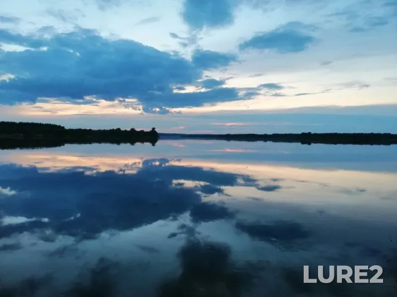 Perch — Permskiy kray, Jul 29, 2019