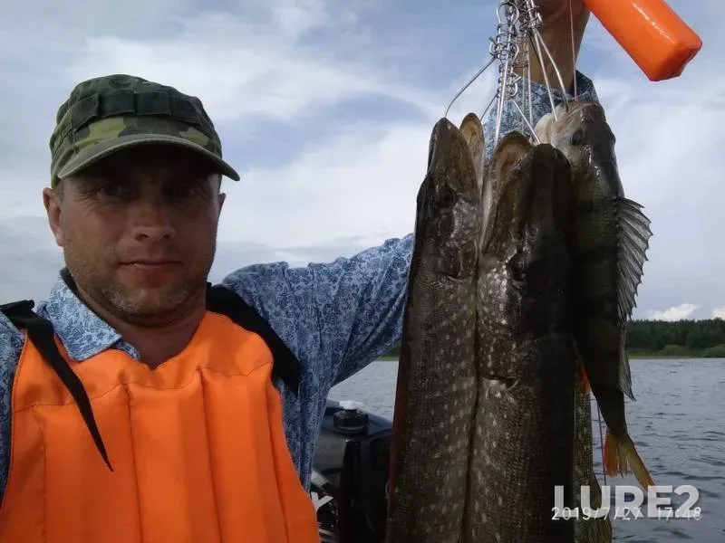 Perch, Pike — Kama, Jul 29, 2019